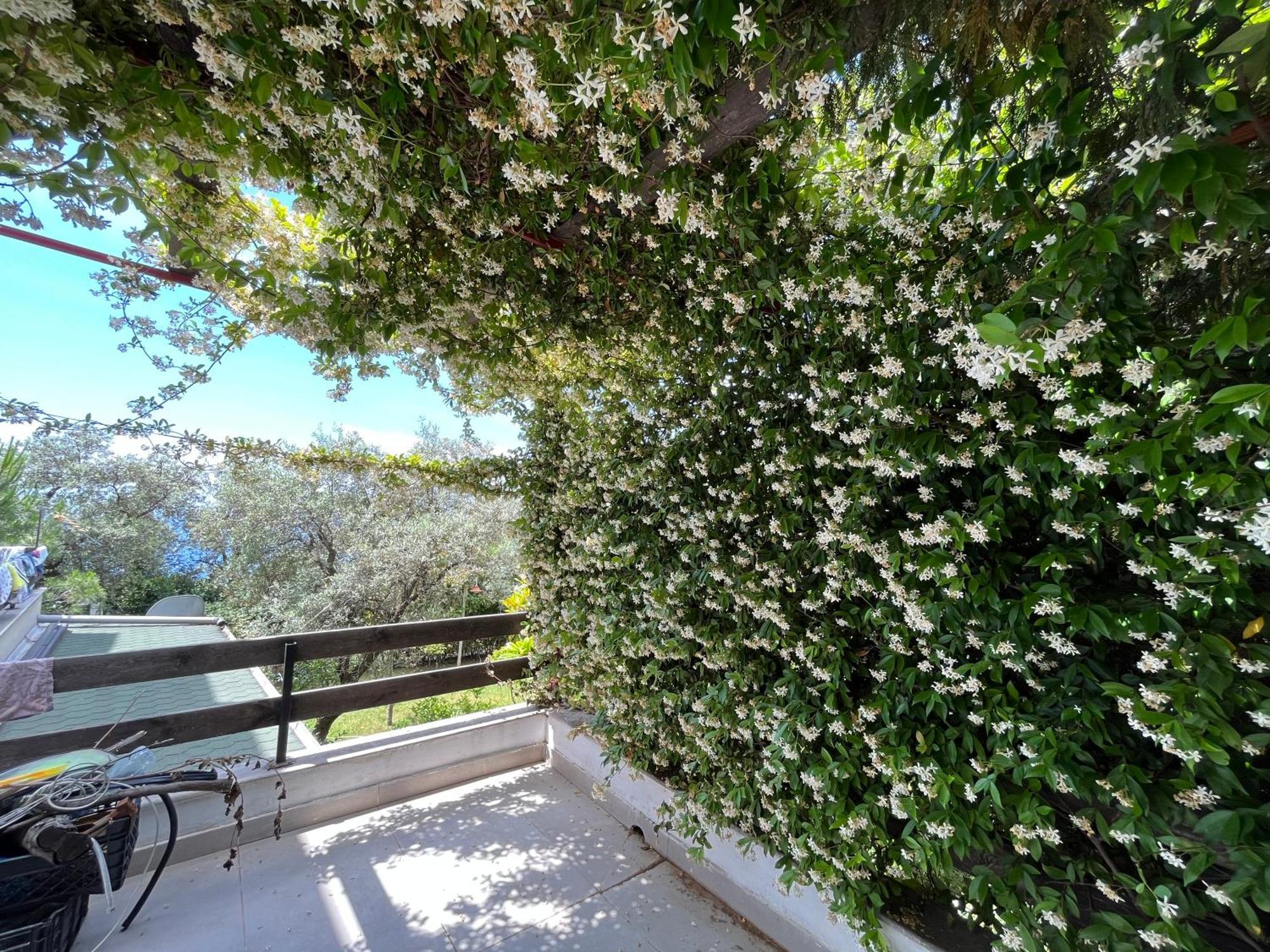 The Olives Terrace Residences Dhërmi Dış mekan fotoğraf